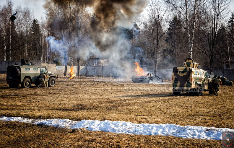 VAD_6042 копия.jpg